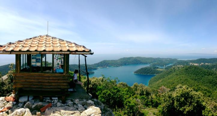 13165923_1009987282370465_779343564116795495_n